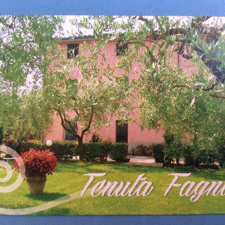 Tenuta Fagnani Lucca Cameră foto
